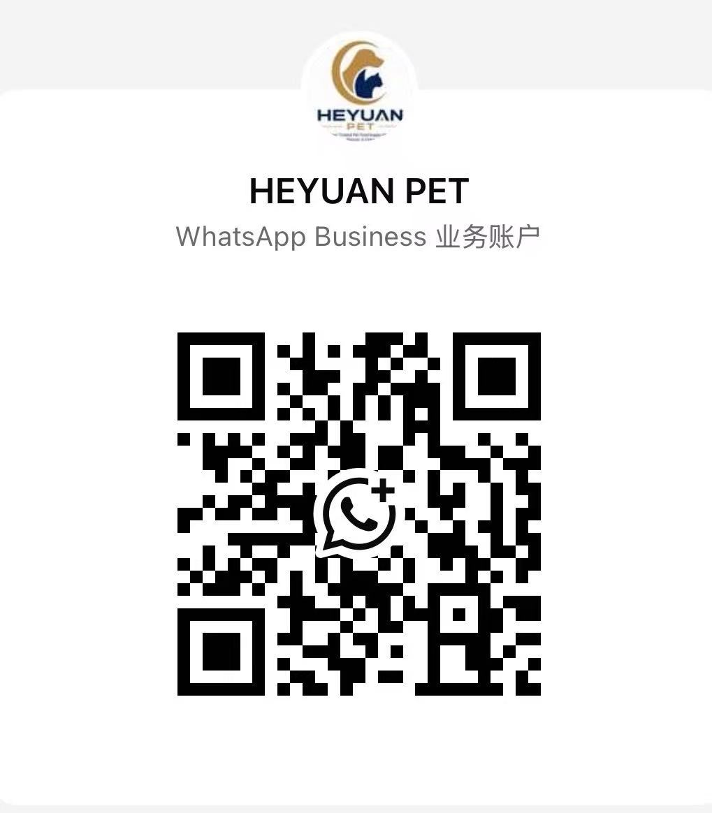WhatsApp QR Code