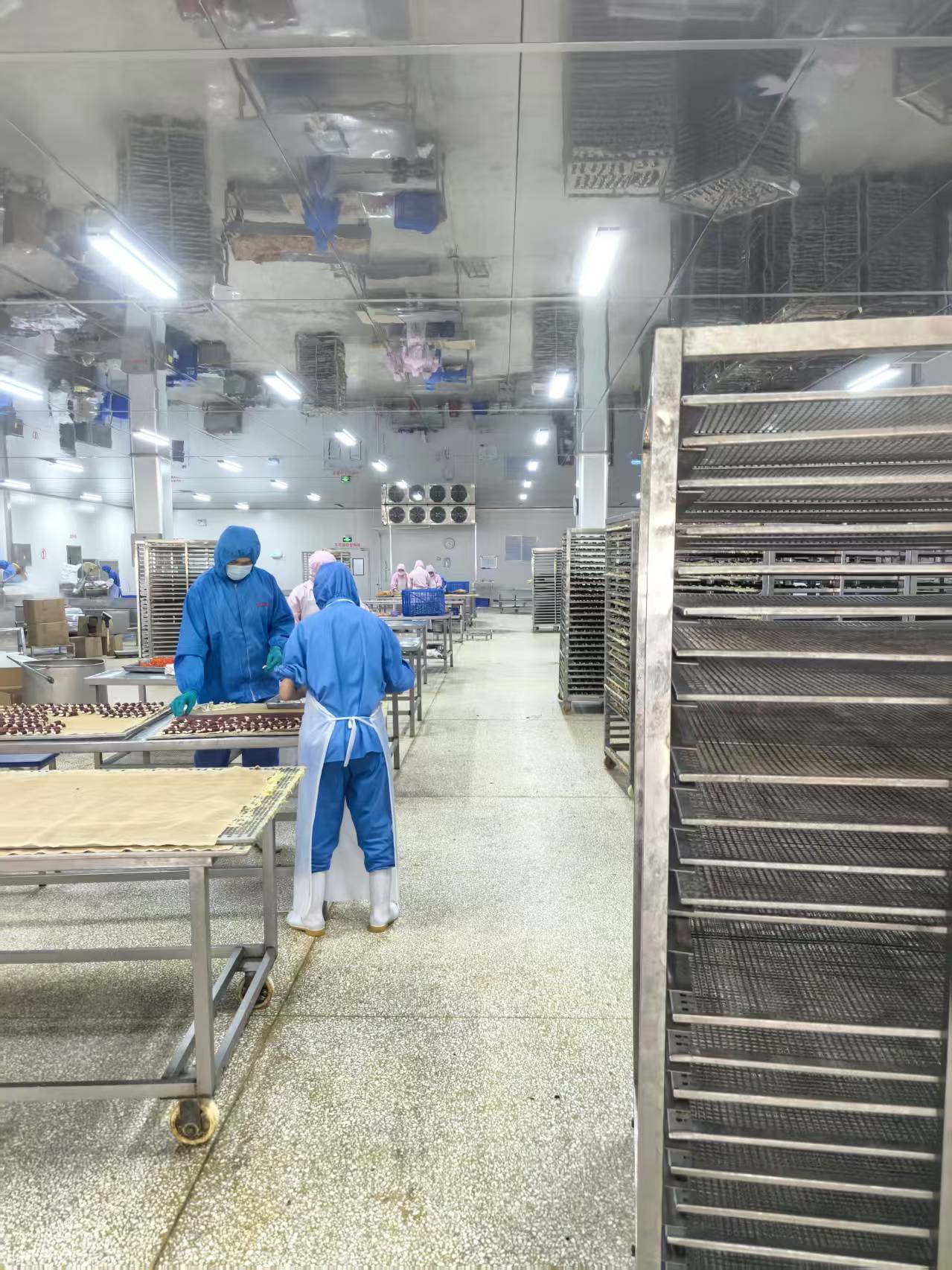 Premium pet treat production line with HACCP protocols at HEYUAN PET