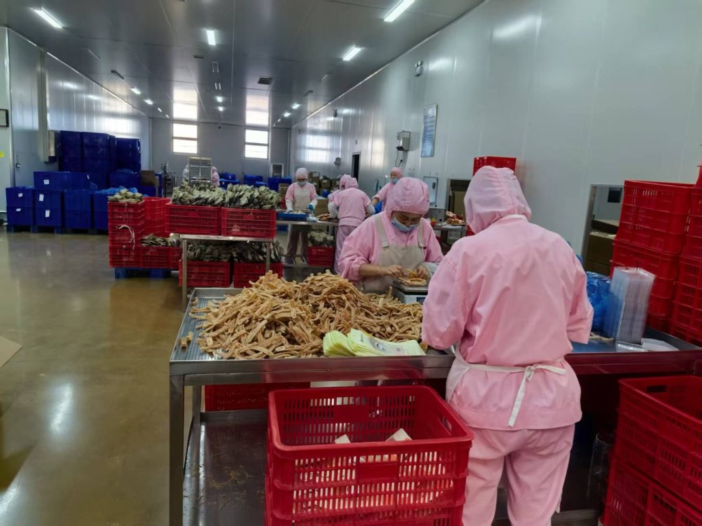 Workers in clean-room suits at the international-standard pet treat production base in Weifang carefully sorting and inspecting natural dried pet treats for quality control and reliable global supply
