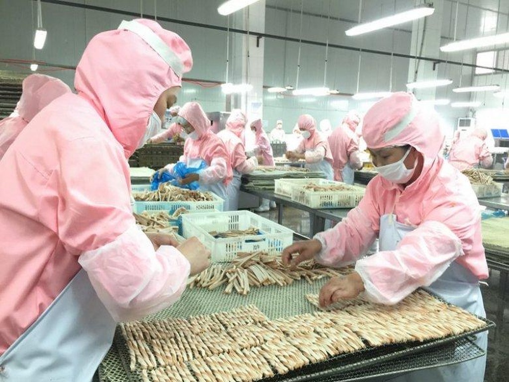 Skilled workers handcrafting premium pet treats at HEYUAN PET facility