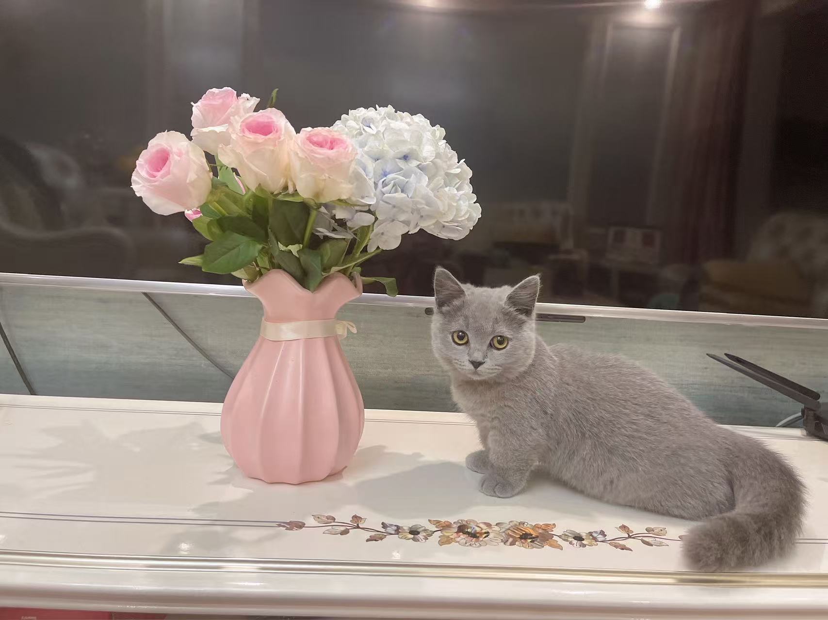 JC — Chief Tasting Officer at HEYUAN PET
