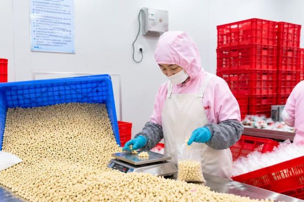 Pet treat production weighing at HEYUAN PET facility