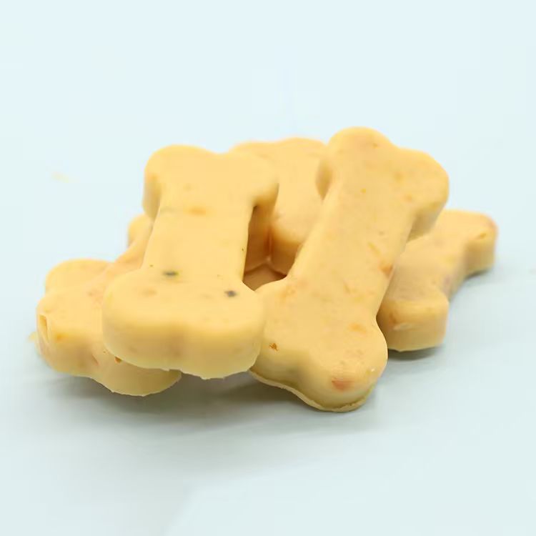 Real bone-shaped baked pet treat — sample product photo used as documentary reference.